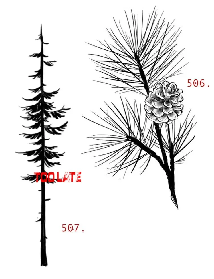 506pine copie.jpg