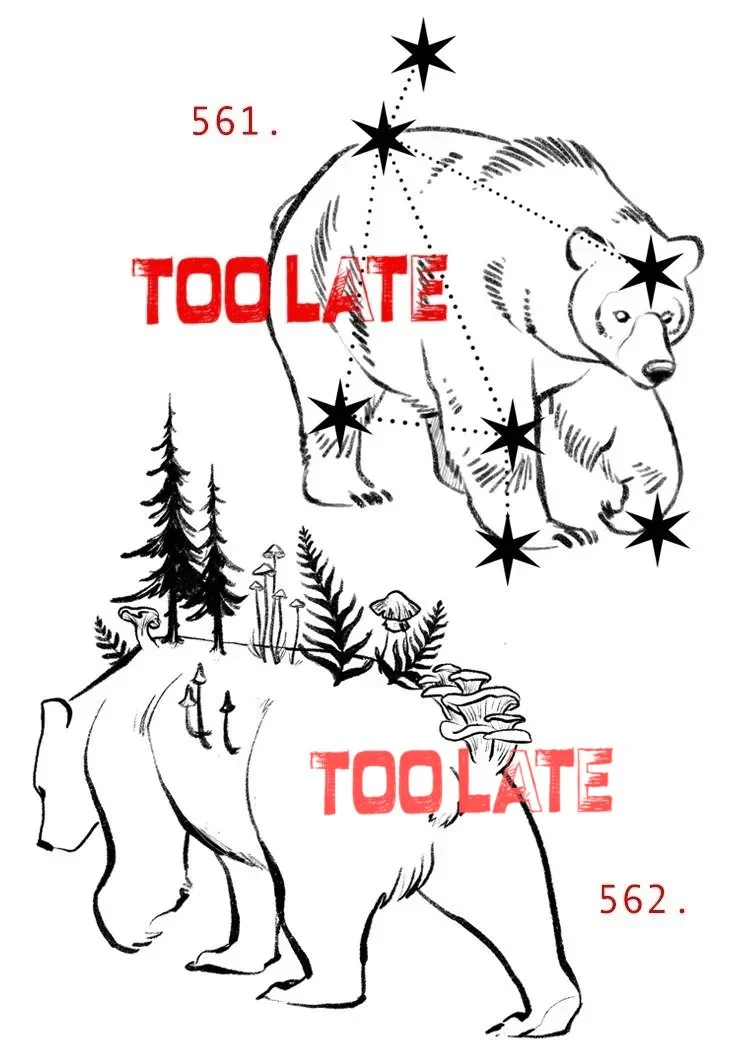 561bears+copie copie.jpg