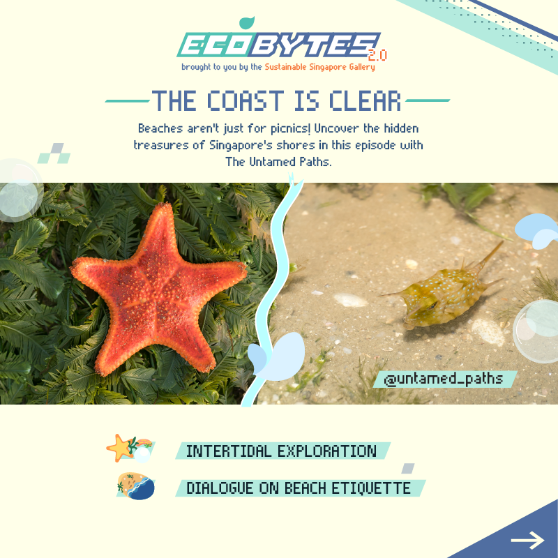 EcoBytes 2.0 Ep 2: The Coast is Clear