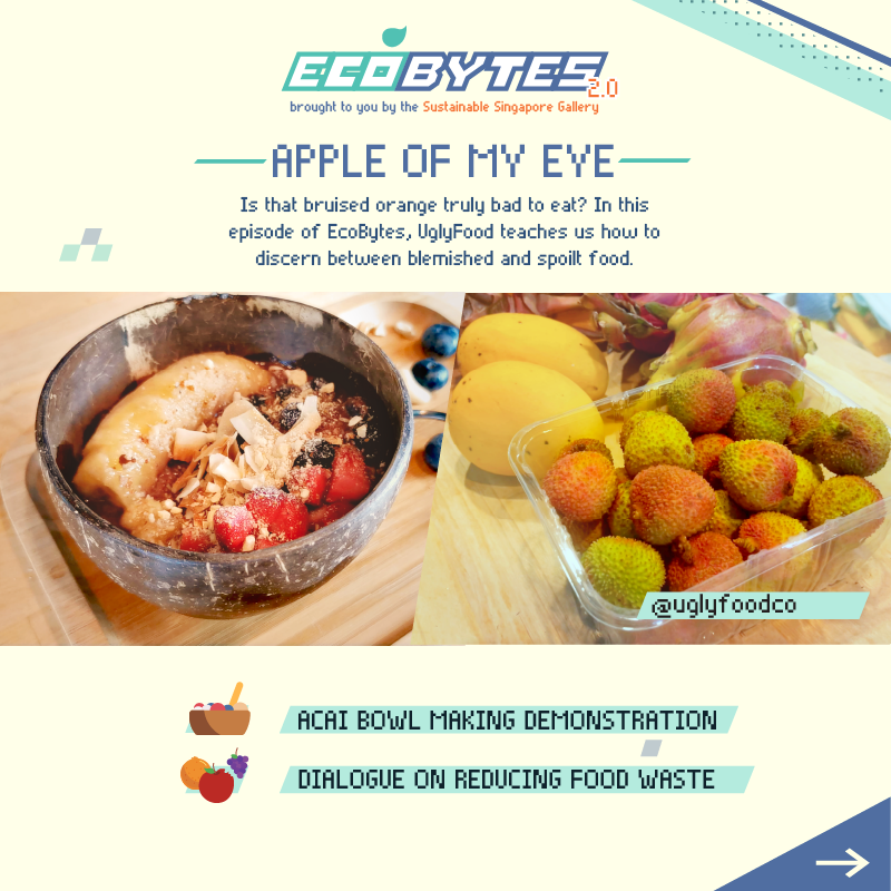 EcoBytes 2.0 Ep 1: Apple of My Eye