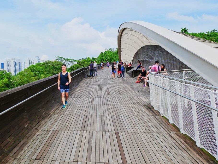 HENDERSON WAVES