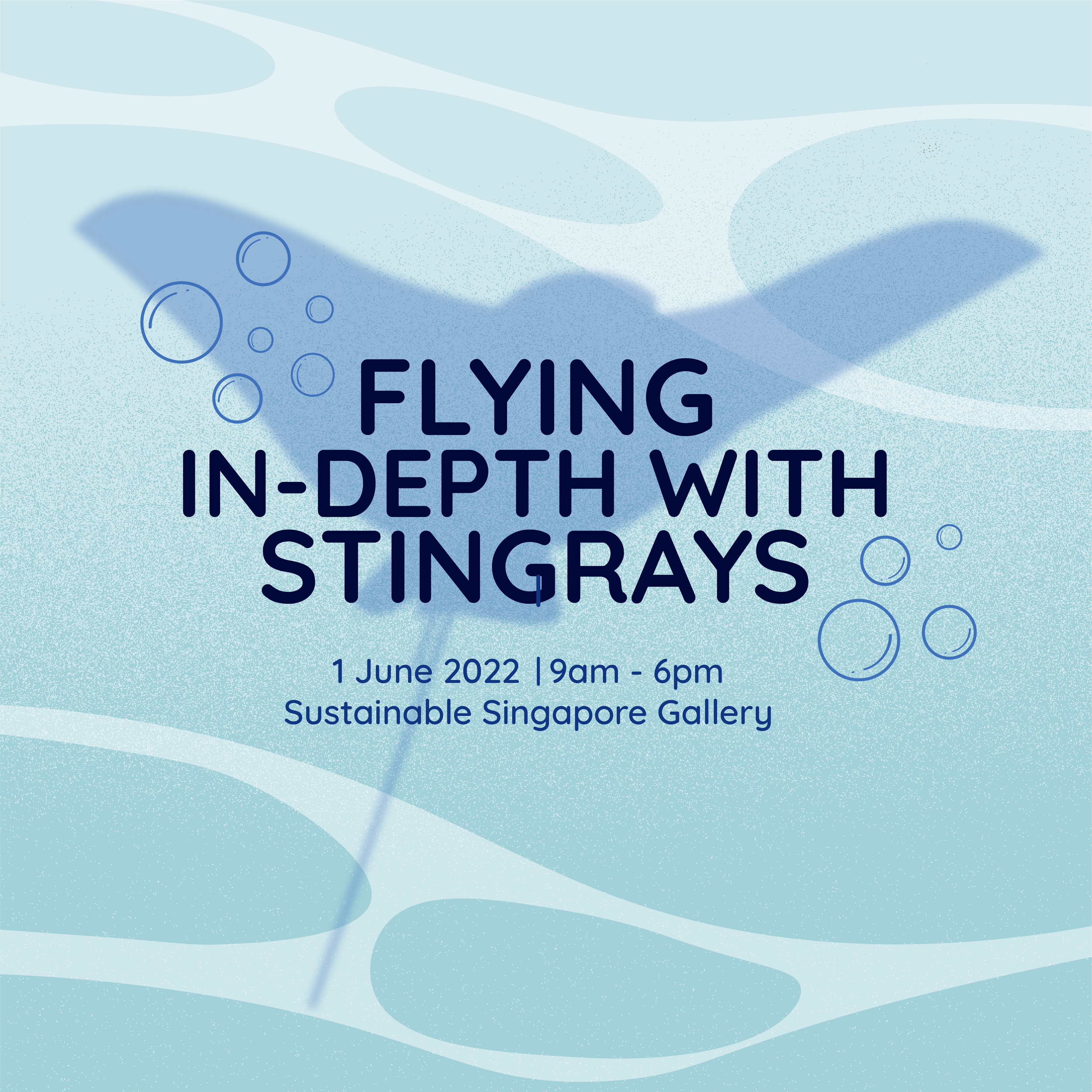 Flying In Depth With Stingrays