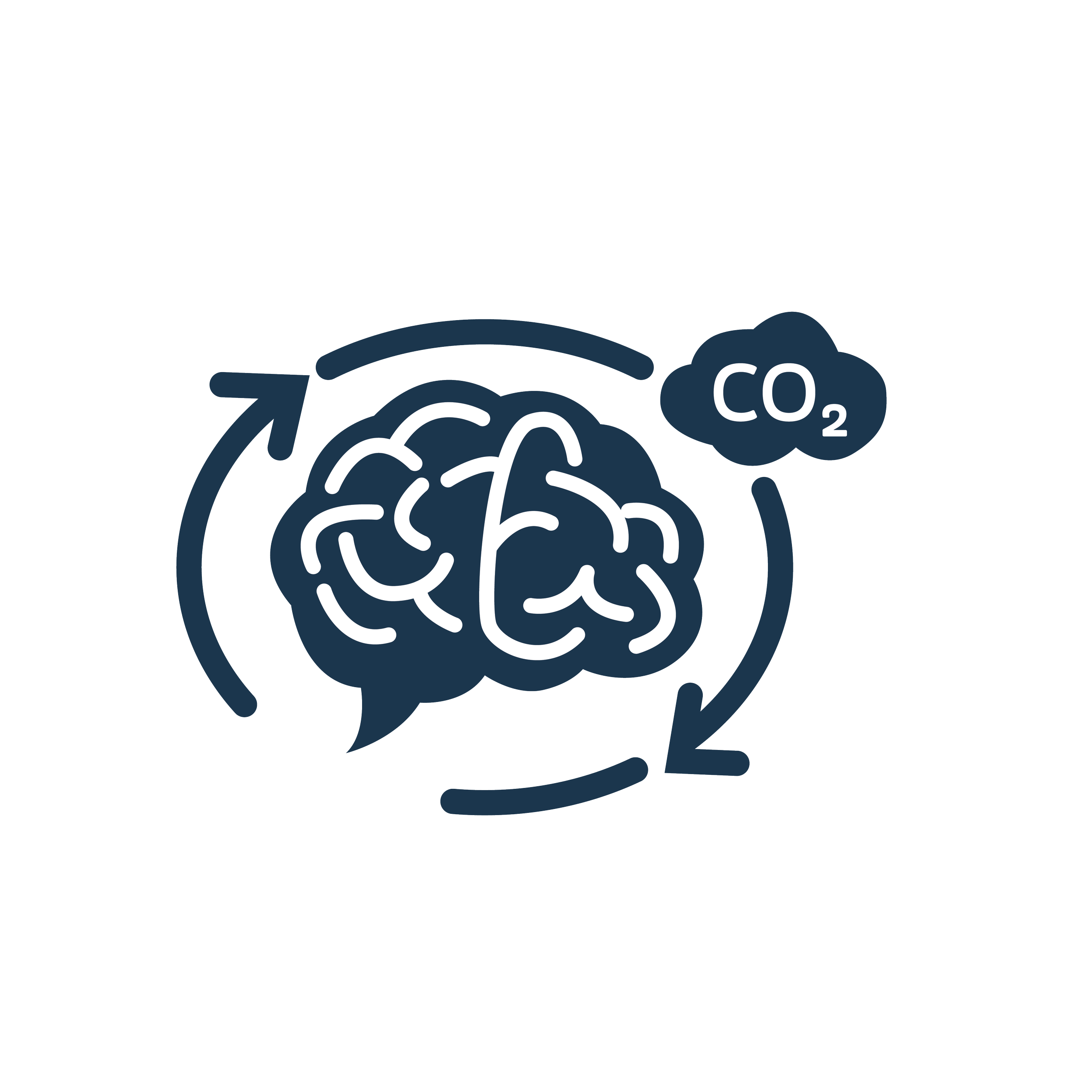 Practise Carbon Emission Recall