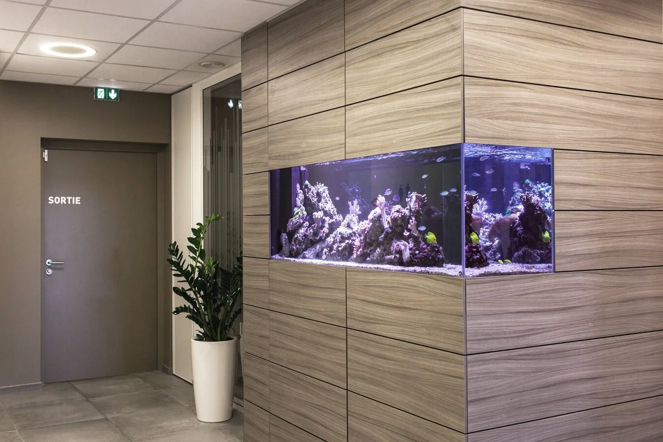 GACS-ACCUEIL-AQUARIUM.jpg