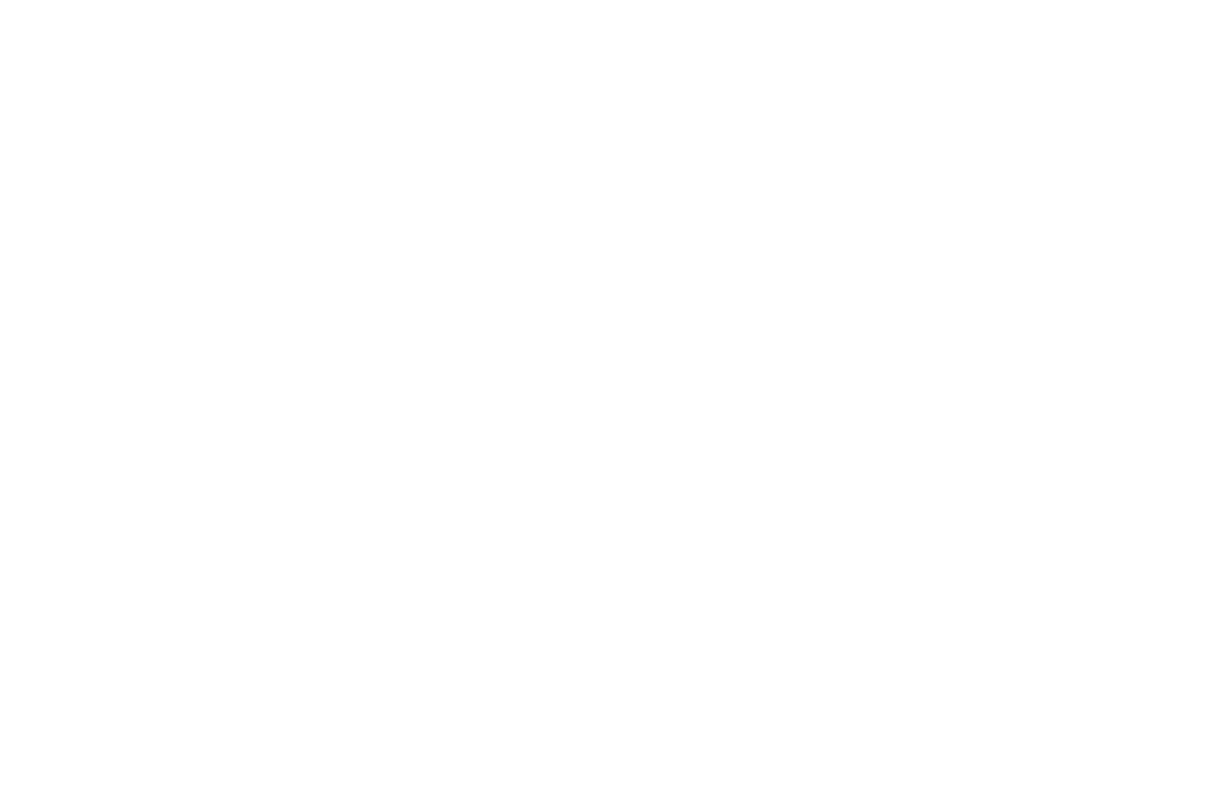 BEST INSPIRATIONAL FILM - Kosice International Monthly Film Festival White on Black - 2020.png