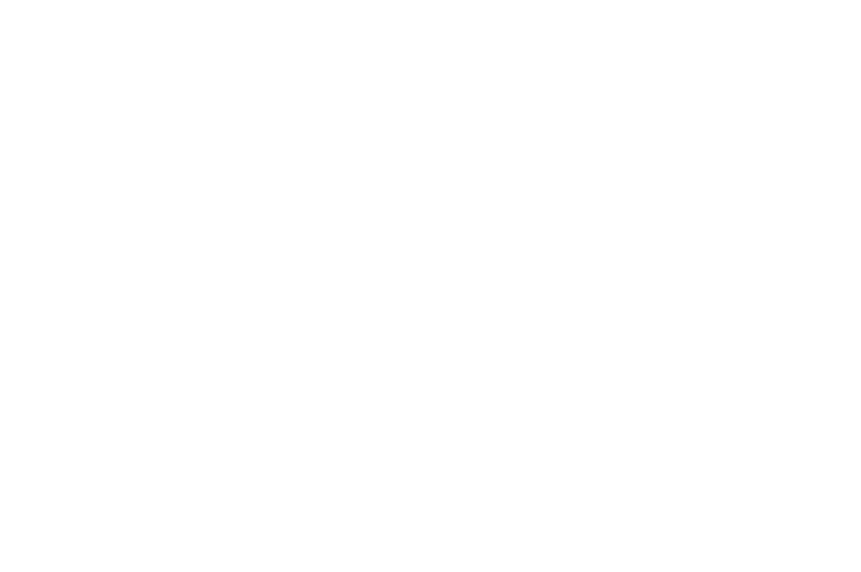 BEST SOCIAL DOCUMENTARY - 8  Halfilm Awards - 2023 W on B.png