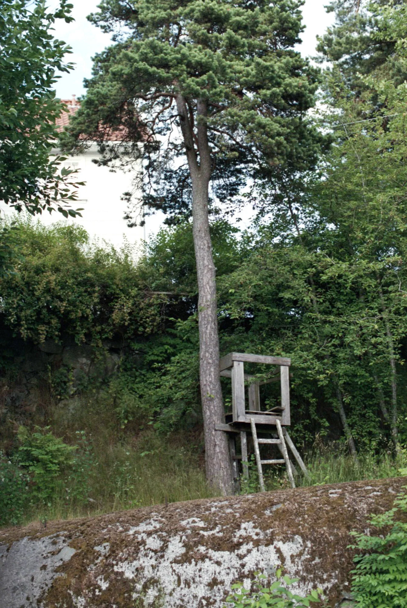 Bild079.jpg