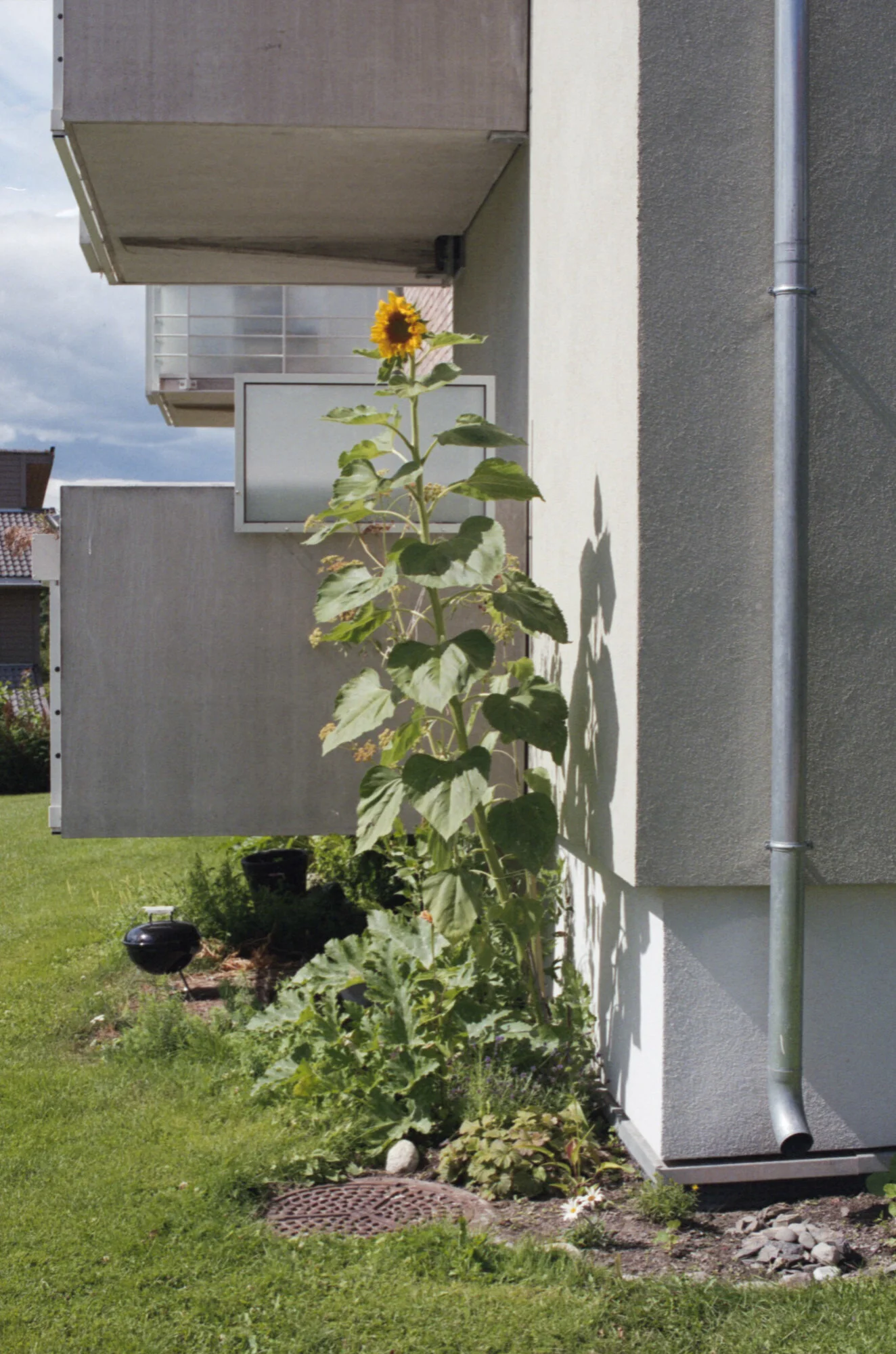 Bild134.jpg
