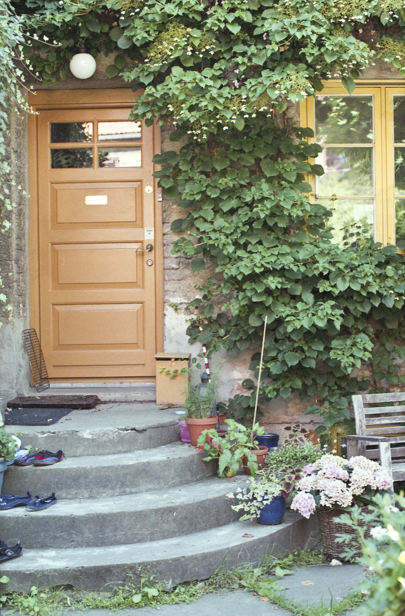 Bild124.jpg
