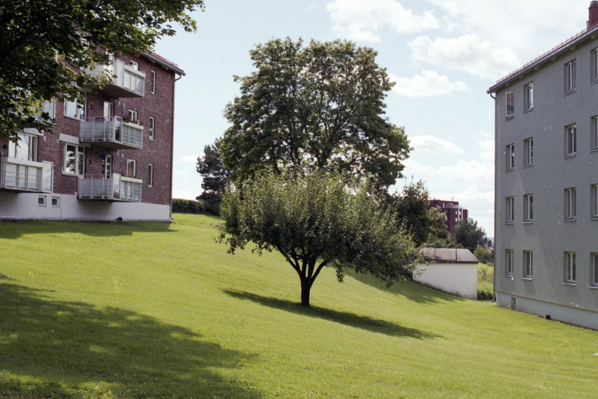 Bild137.jpg