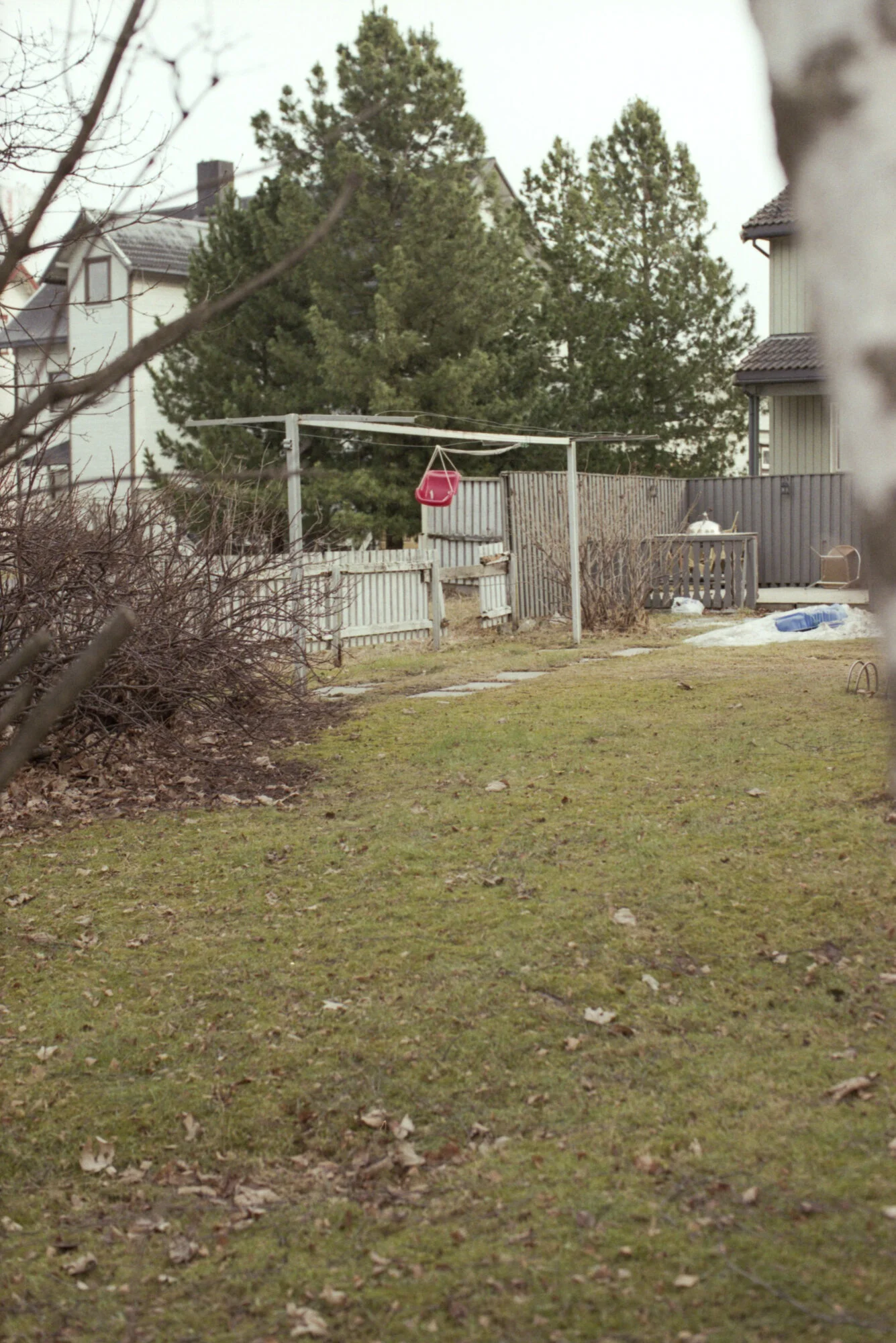 img314.jpg