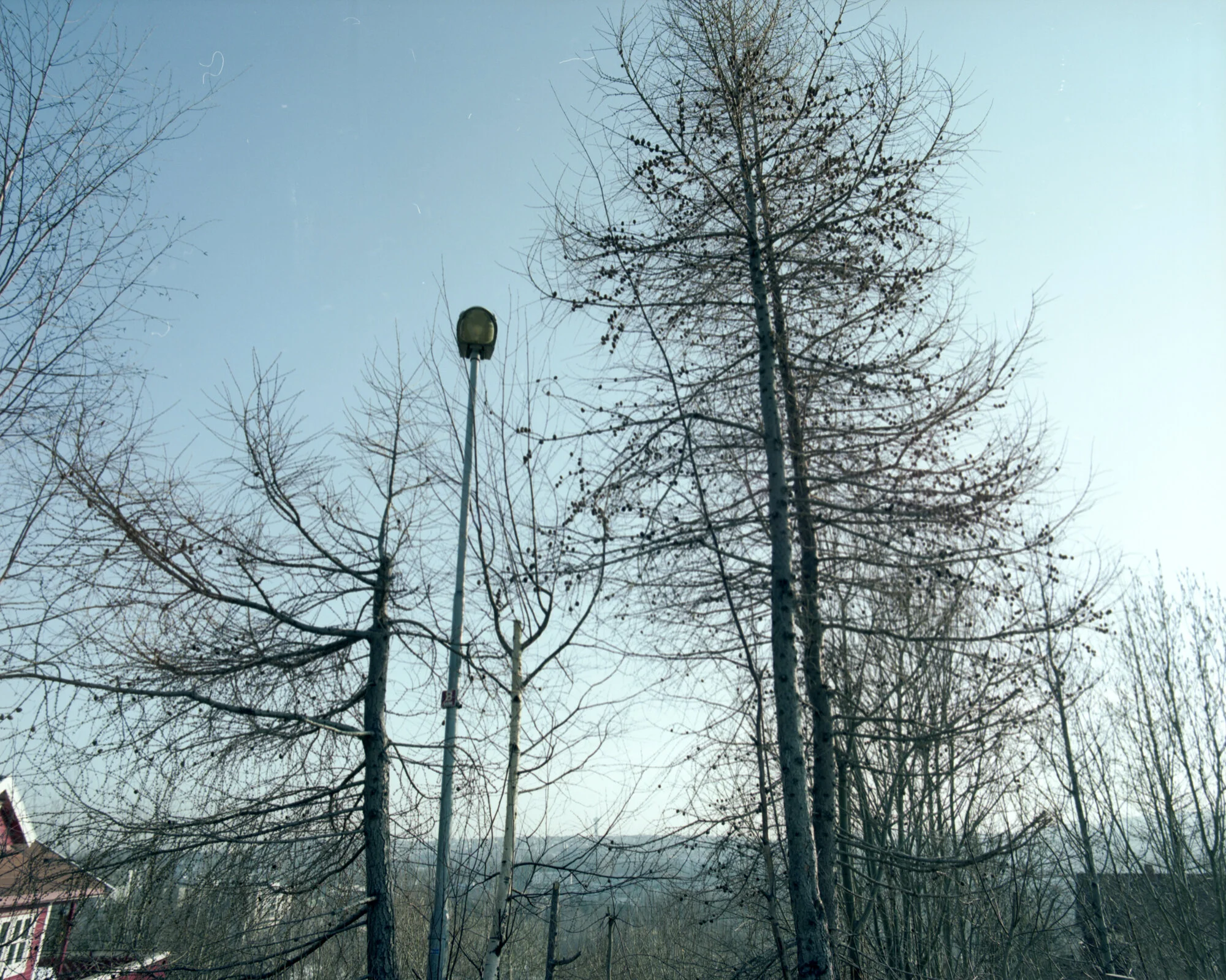 img363.jpg