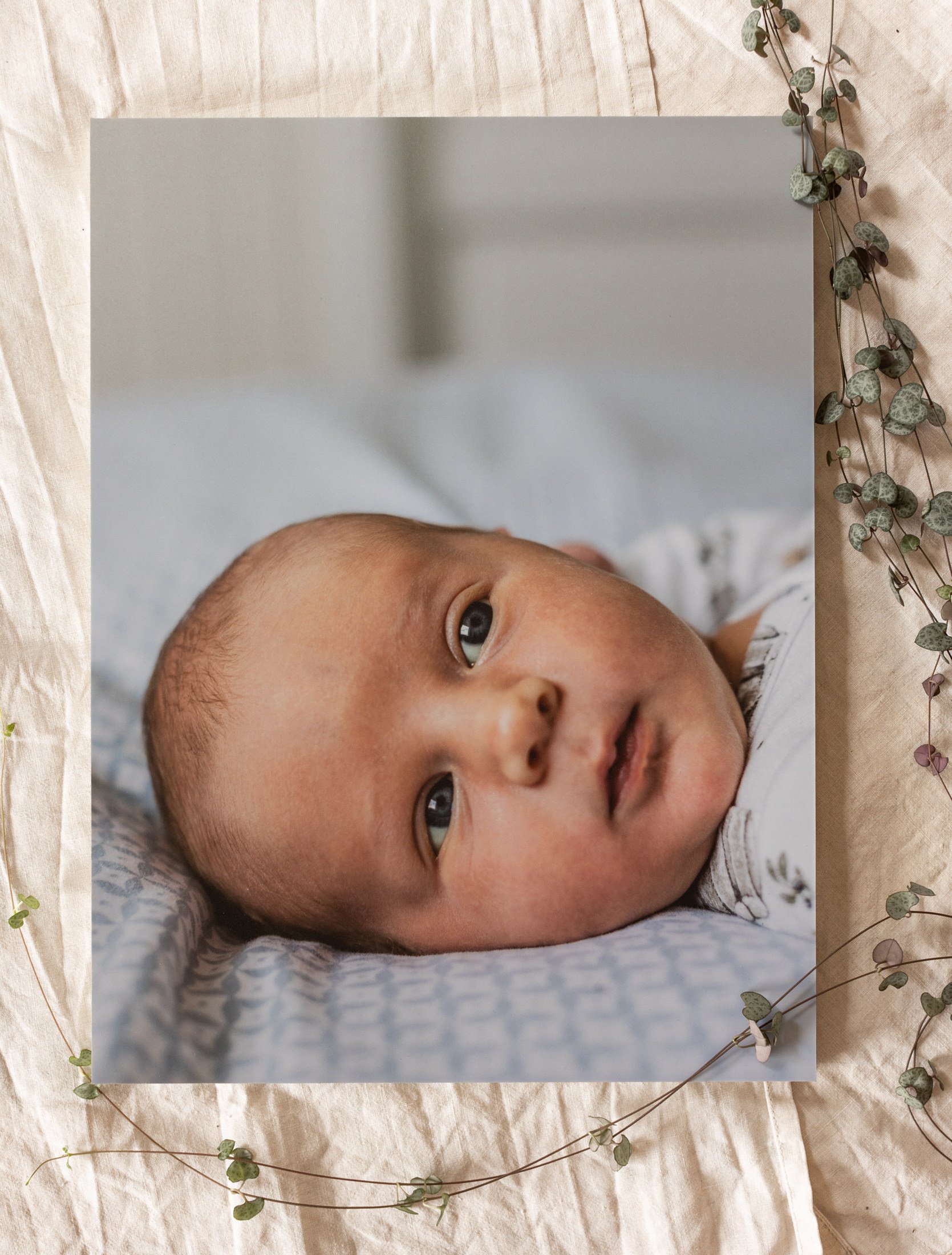  Nyfødtfotografering resulterer i vakre minner å ha på veggen 