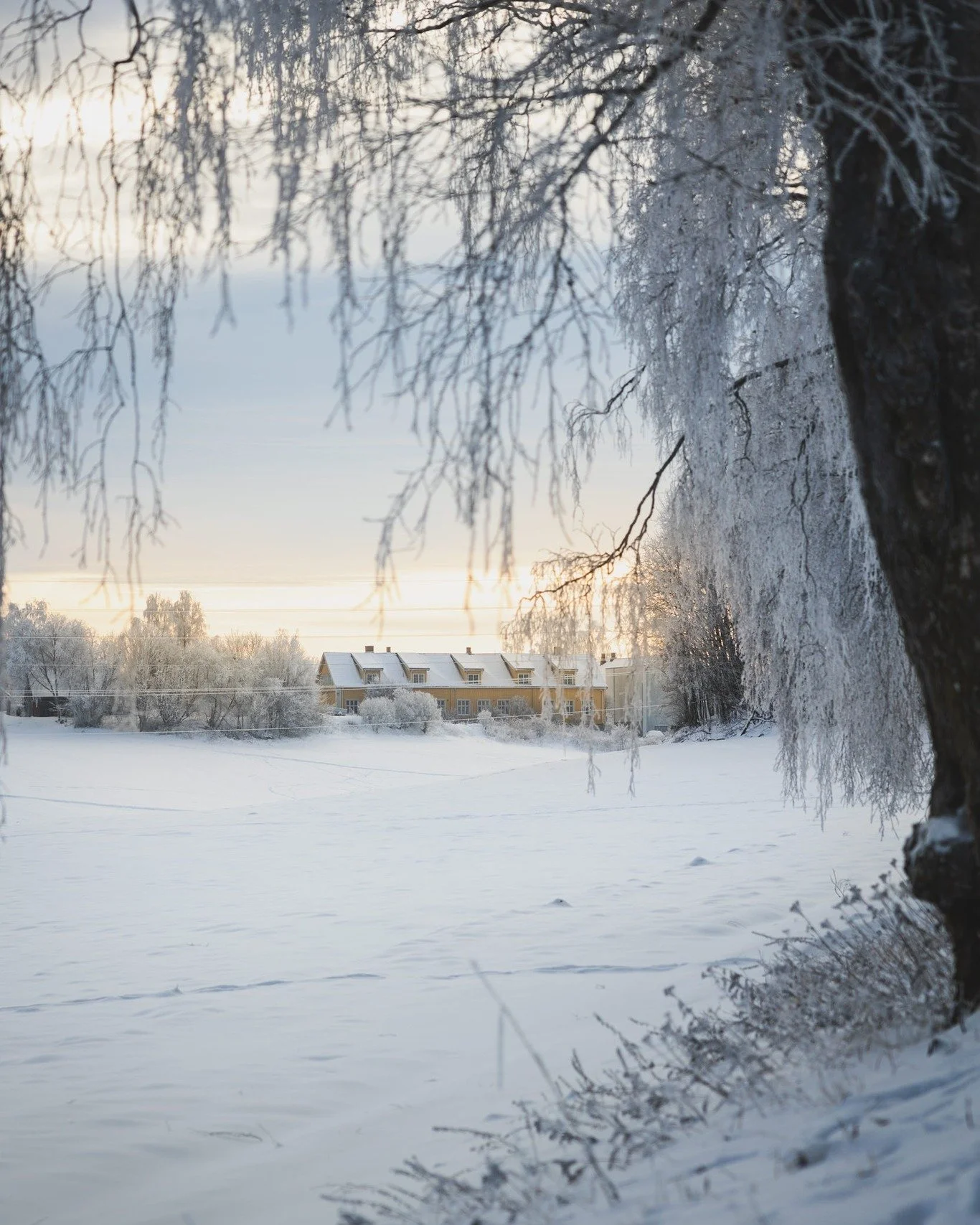 &Aring;h, jeg bare elsker lyset som er om vinteren 🌅Lav sol, fargerike solnedganger i bl&aring;tt landskap 💙 Sn&oslash; som reflekterer mykt lys ❄️ Definitivt en &aring;rstid det er verdt &aring; v&aelig;re ute i, selv om det gj&oslash;r litt vondt