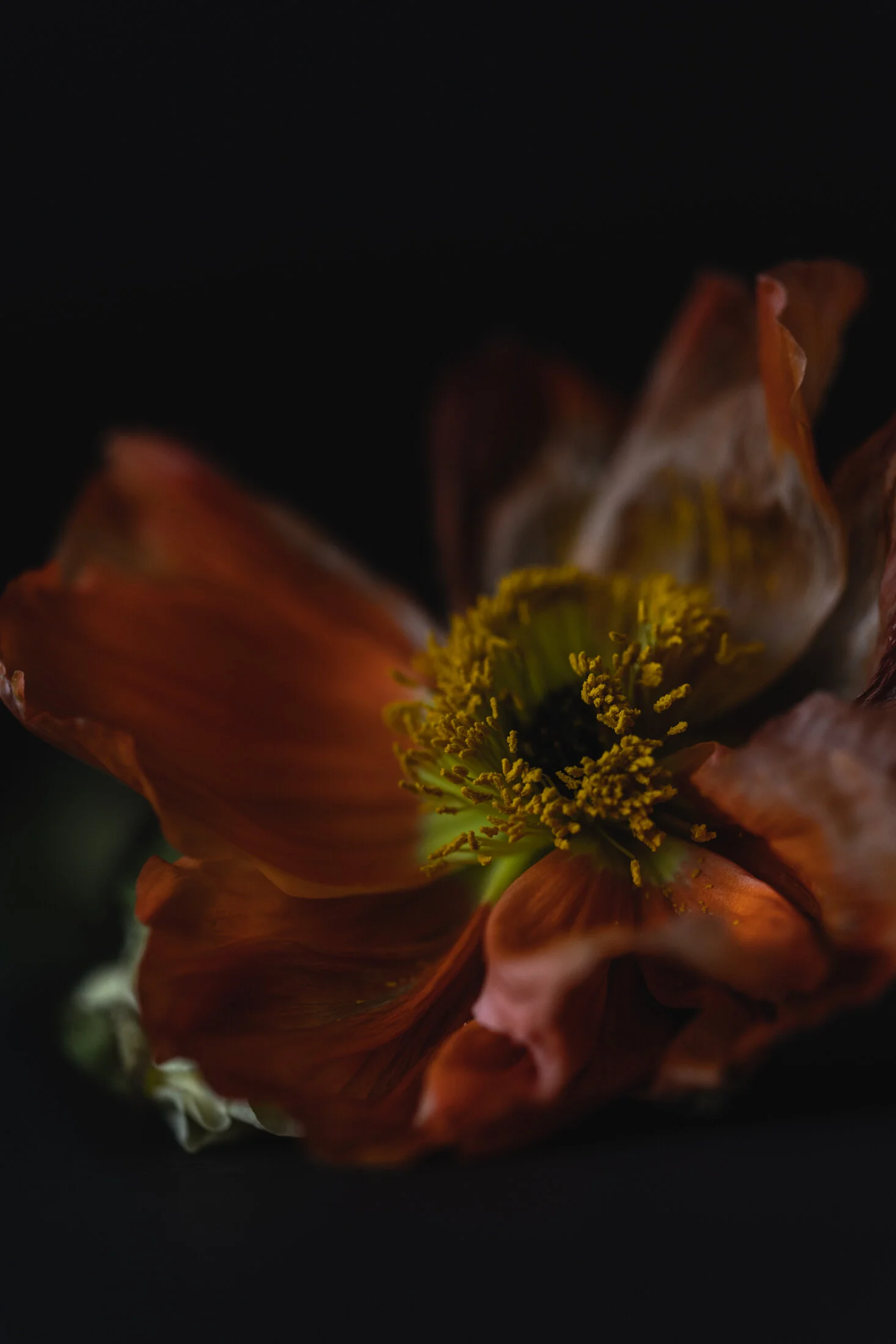 _Y5A8851.jpg