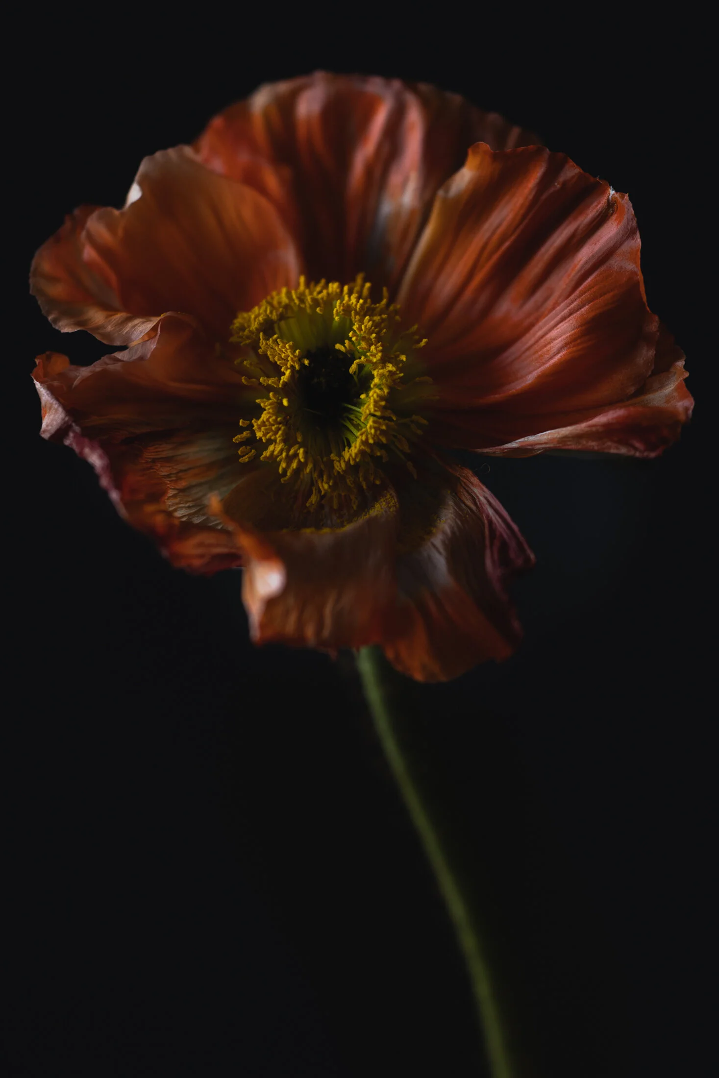 _Y5A8735.jpg