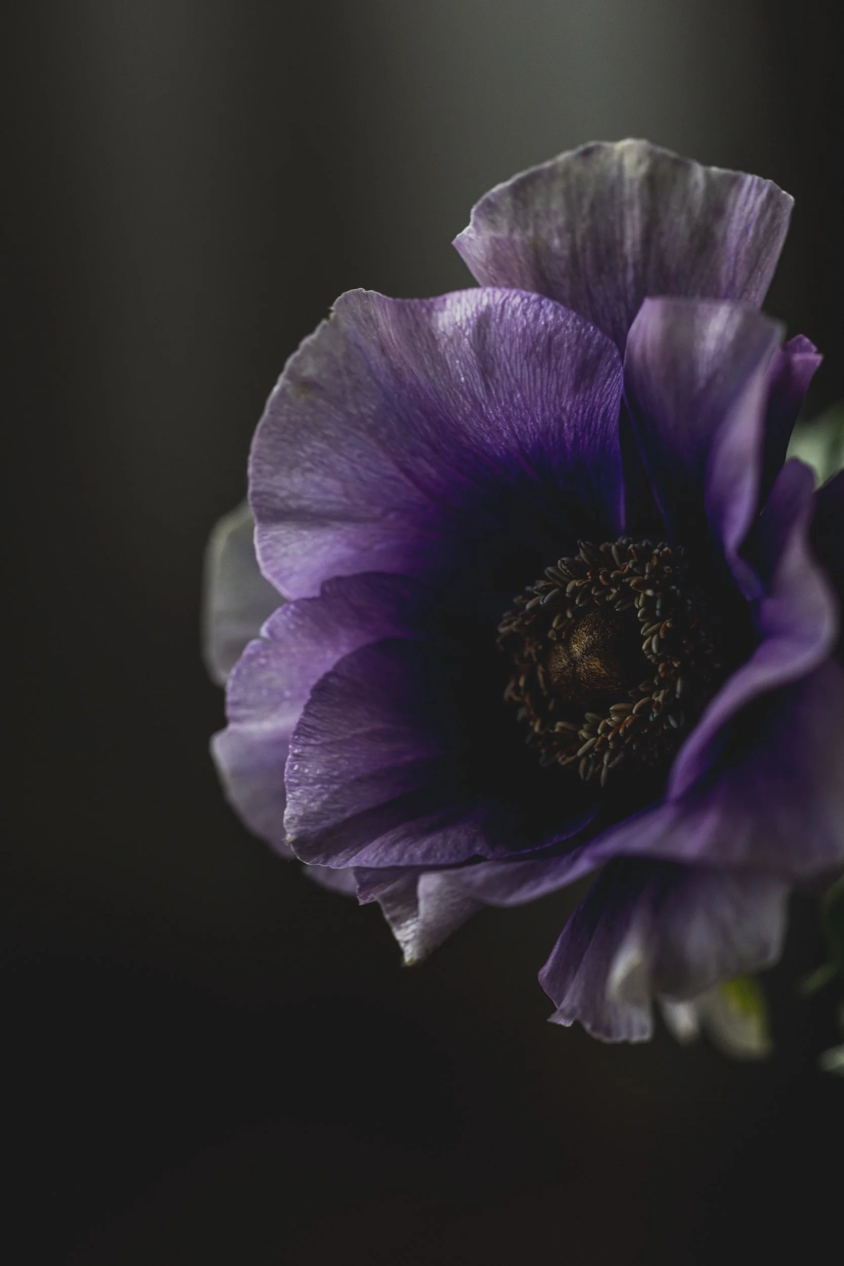 Decay#06_fotografmnb-004.jpg