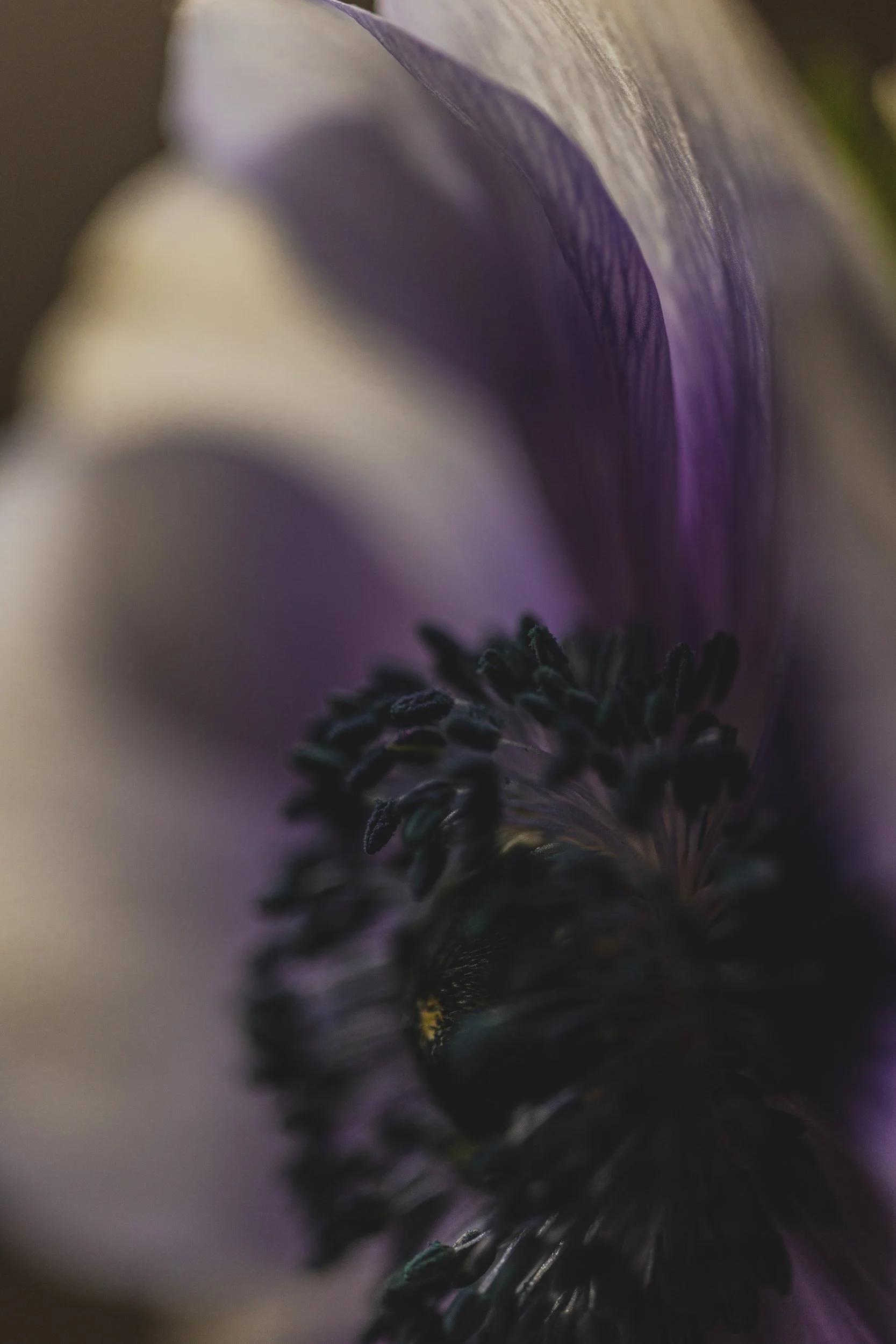 Decay#06_fotografmnb-001.jpg