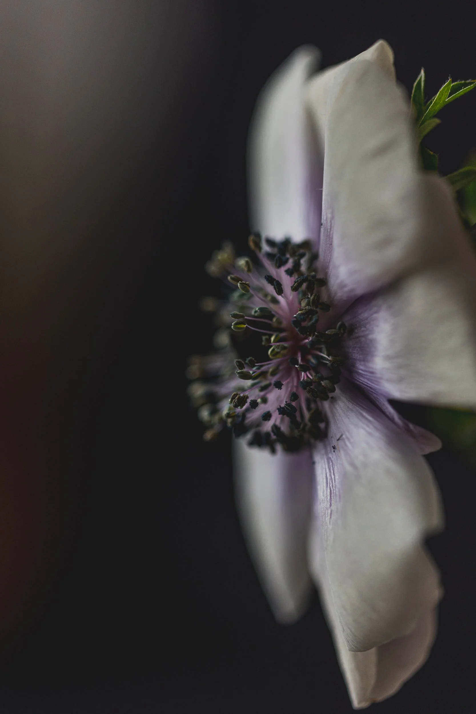 Decay#06_fotografmnb-003.jpg