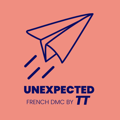 Logo of Unexpected french DMC by TTon a pale pink background with a navy blue paper airplane