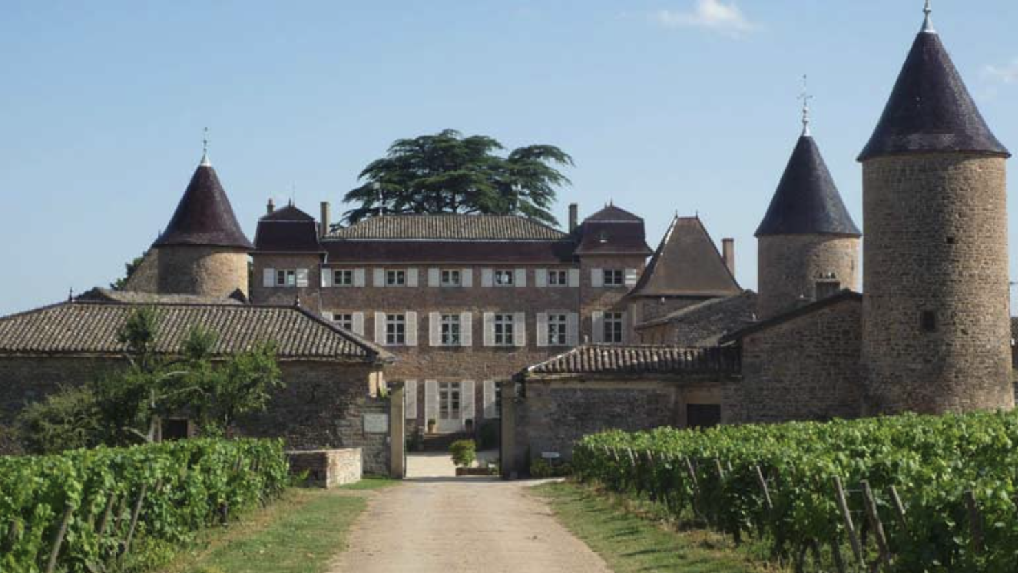 Château_Beaujolais_Vin.png