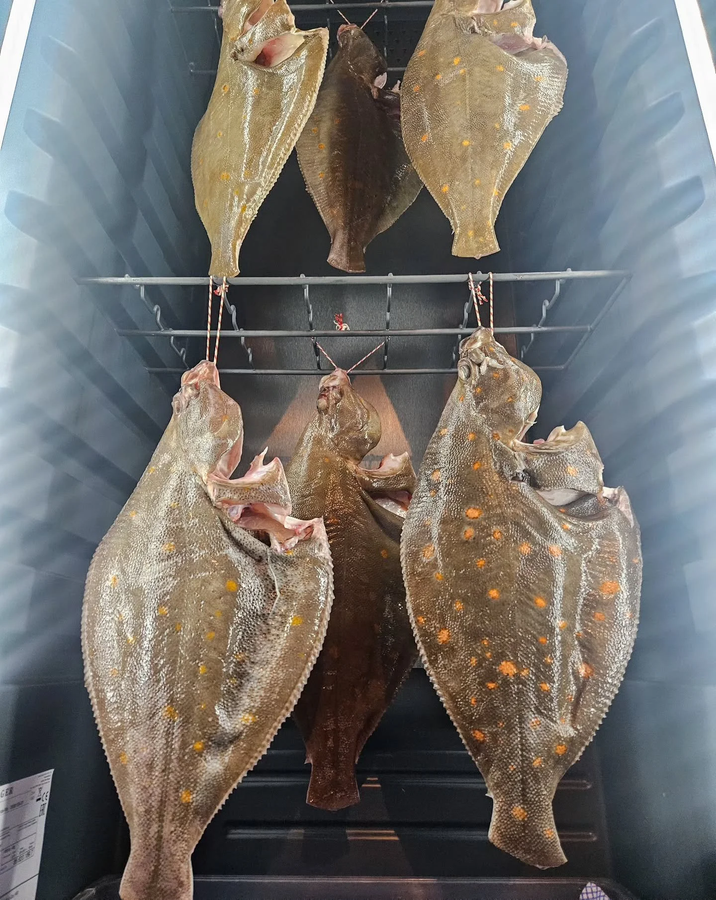 We had some incredible plaice delivered today which are currently being aged to enhance the texture and flavour.

Currently served with scallop butter sauce, brown shrimp and caviar.

They're HUGE, and perfect for sharing.

We have space for bookings