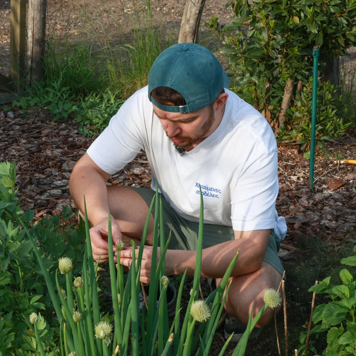 An absolute pleasure visiting @charliesleaves farm where he cultivates exceptional organic produce using @charles_dowding's no‑dig growing principles. 

We&rsquo;re incredibly proud to champion outstanding local suppliers and continually explore new 