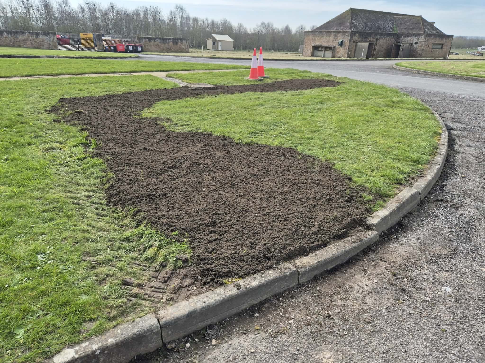 top soil and grass seed project.JPG