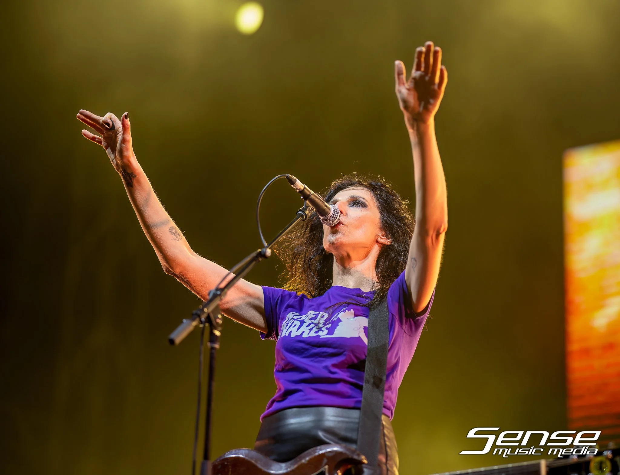 MAGIC DIRT SPRINGLOADED 23 1 (7 of 9).jpg