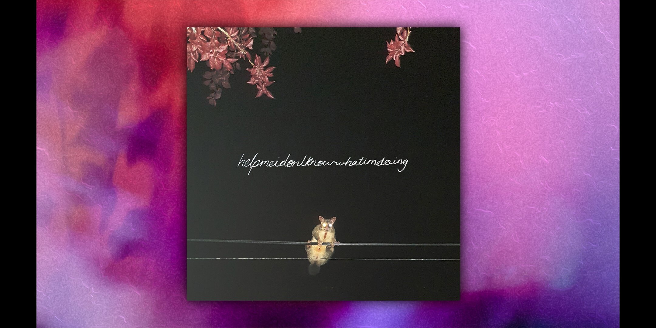 HELPMEIDONTKNOWWHATIMDOING - Instrumentals Volume 1