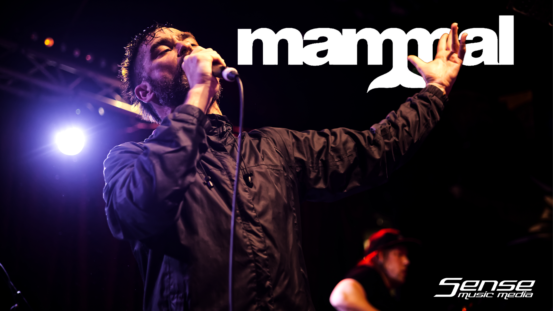 Review: MAMMAL - Live in Brisbane
