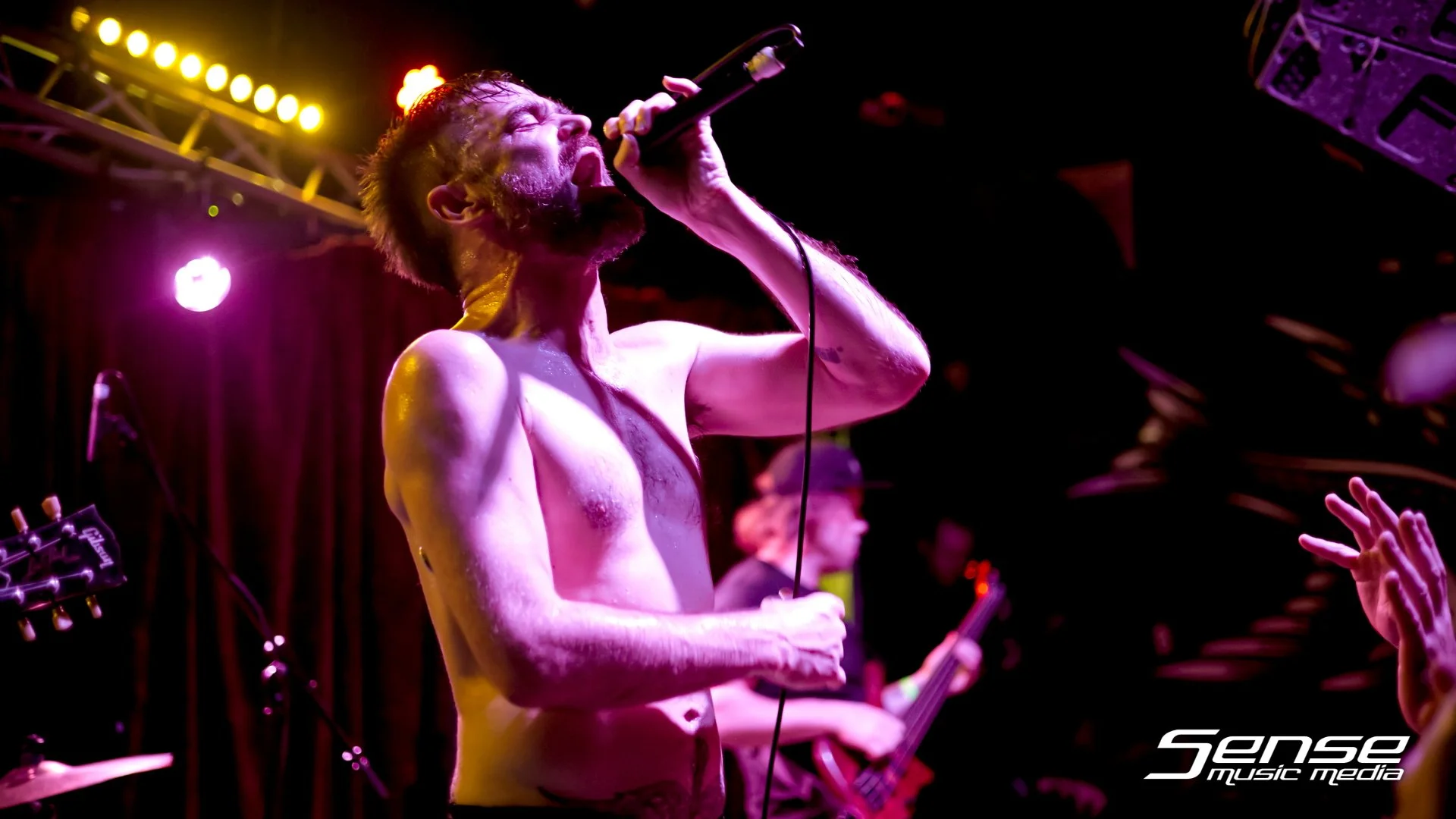 Mammal15.JPG