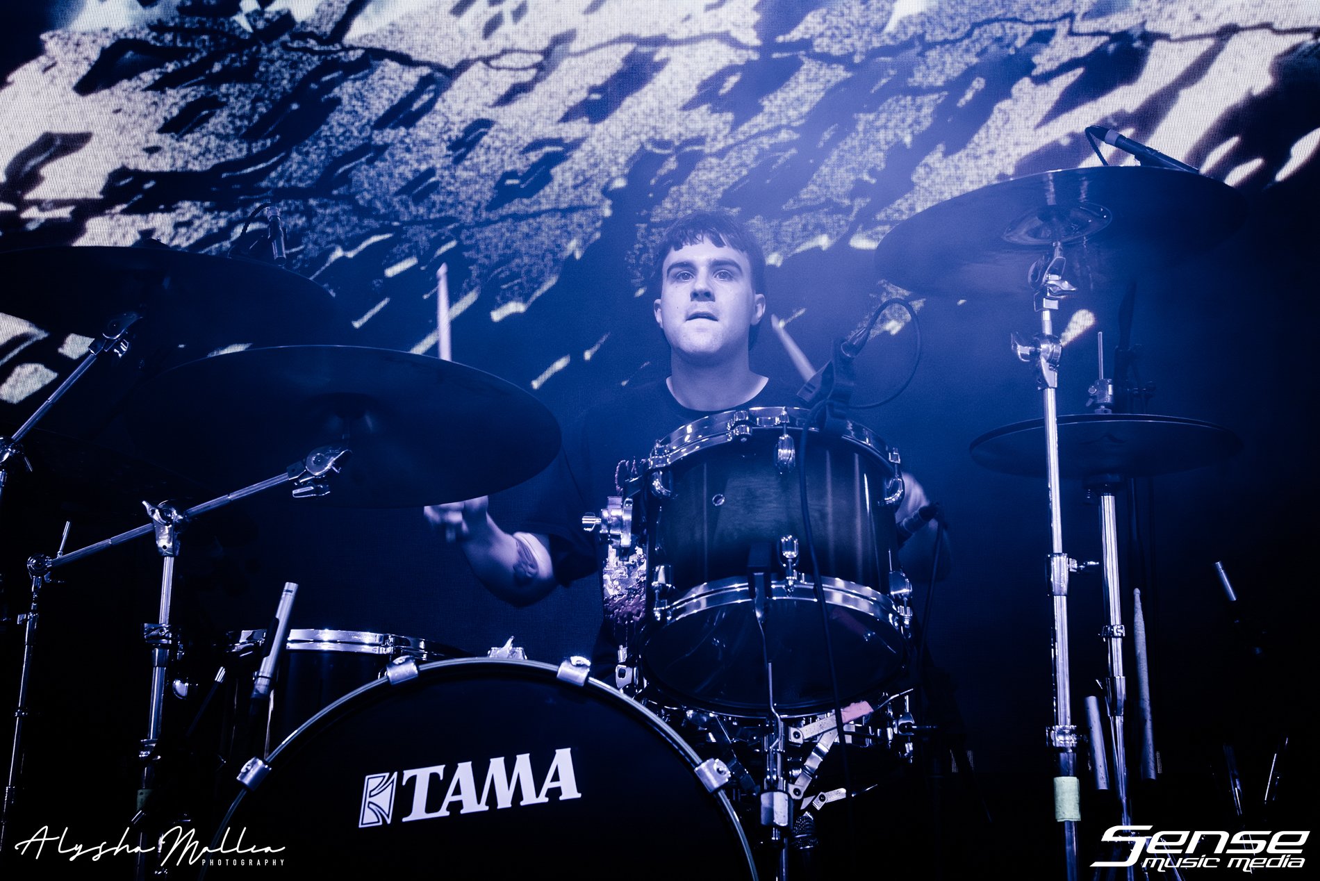 Splinter-22082024-1204.jpg