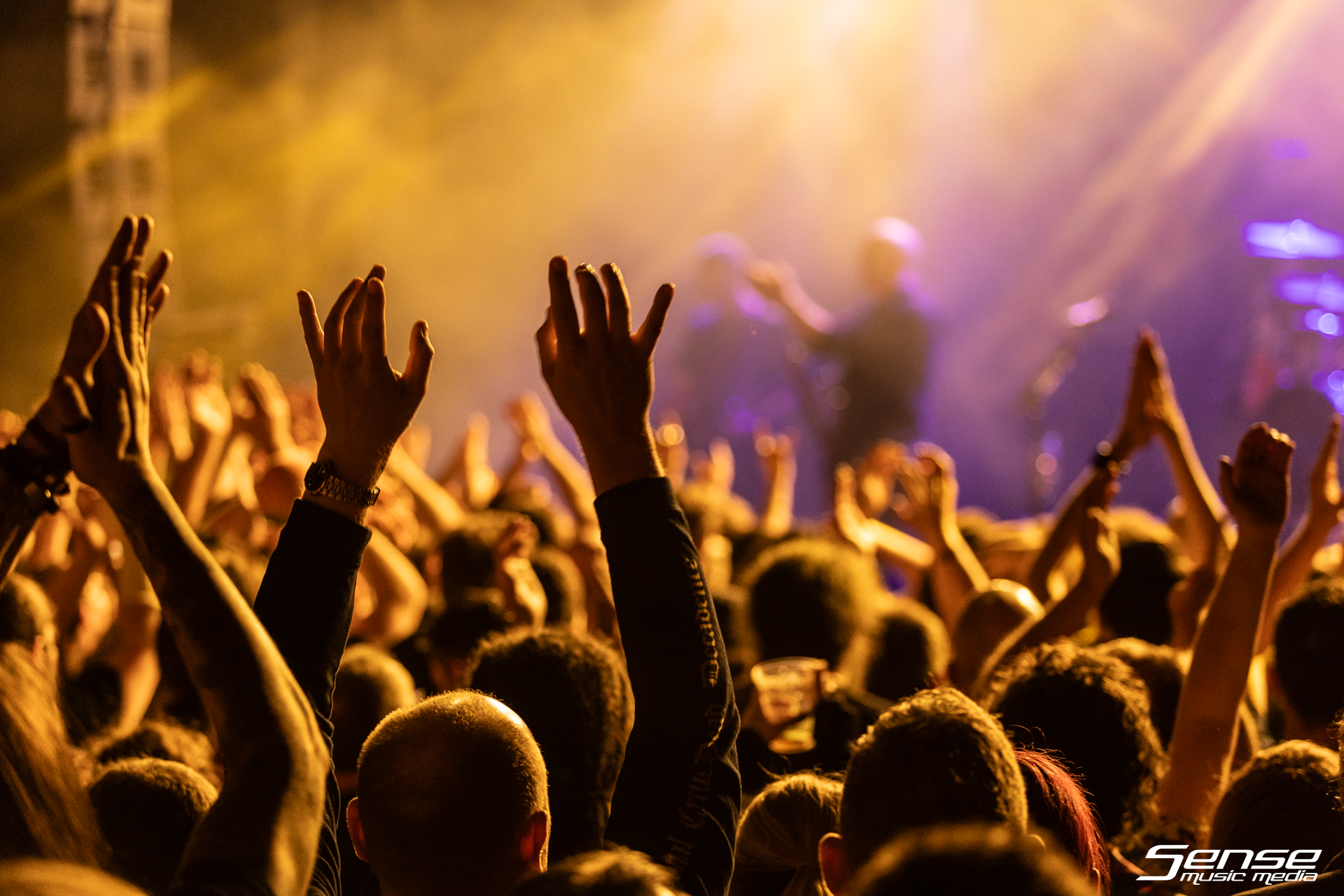 DEVIN TOWNSEND - Metro Theatre, Sydney23-1-3.png