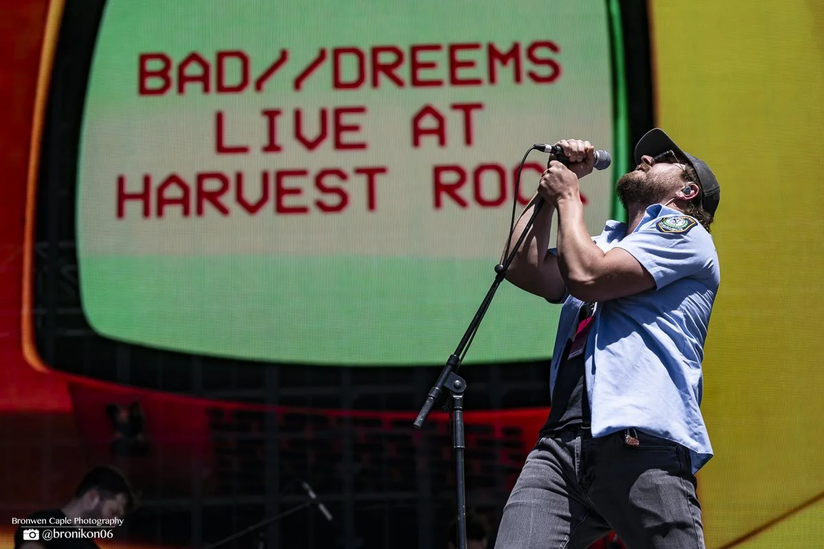 Bad Dreems-2.jpg