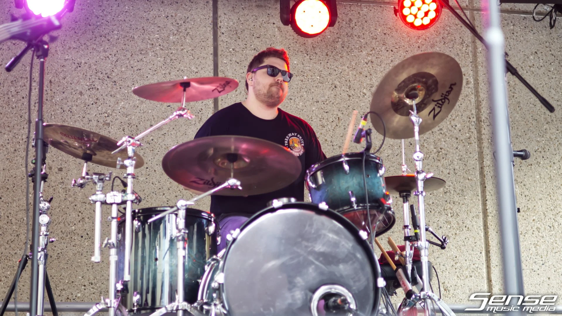 WildAsh05.JPG