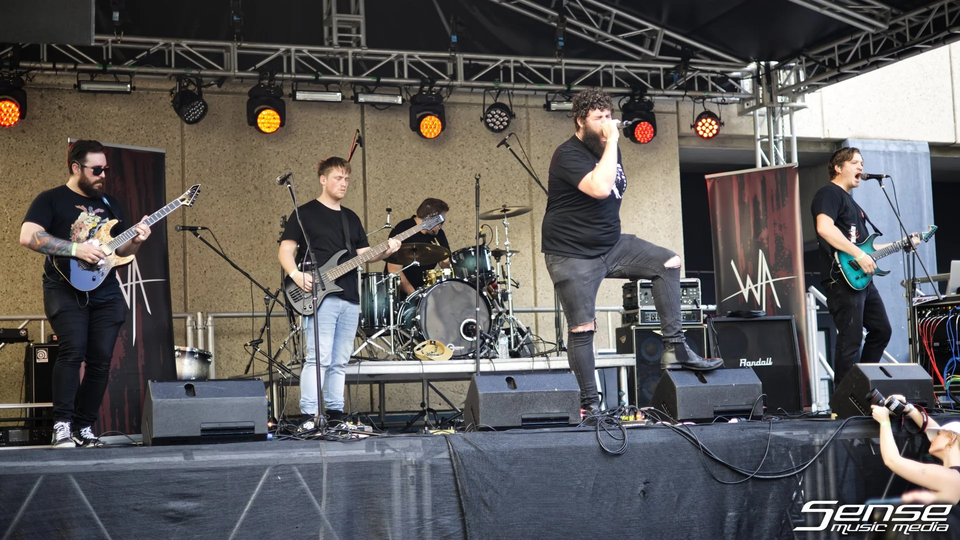 WildAsh06.JPG