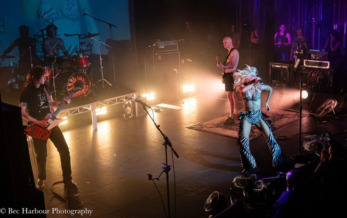 Amyl & the Sniffers Tivoli 01022025-04.jpg