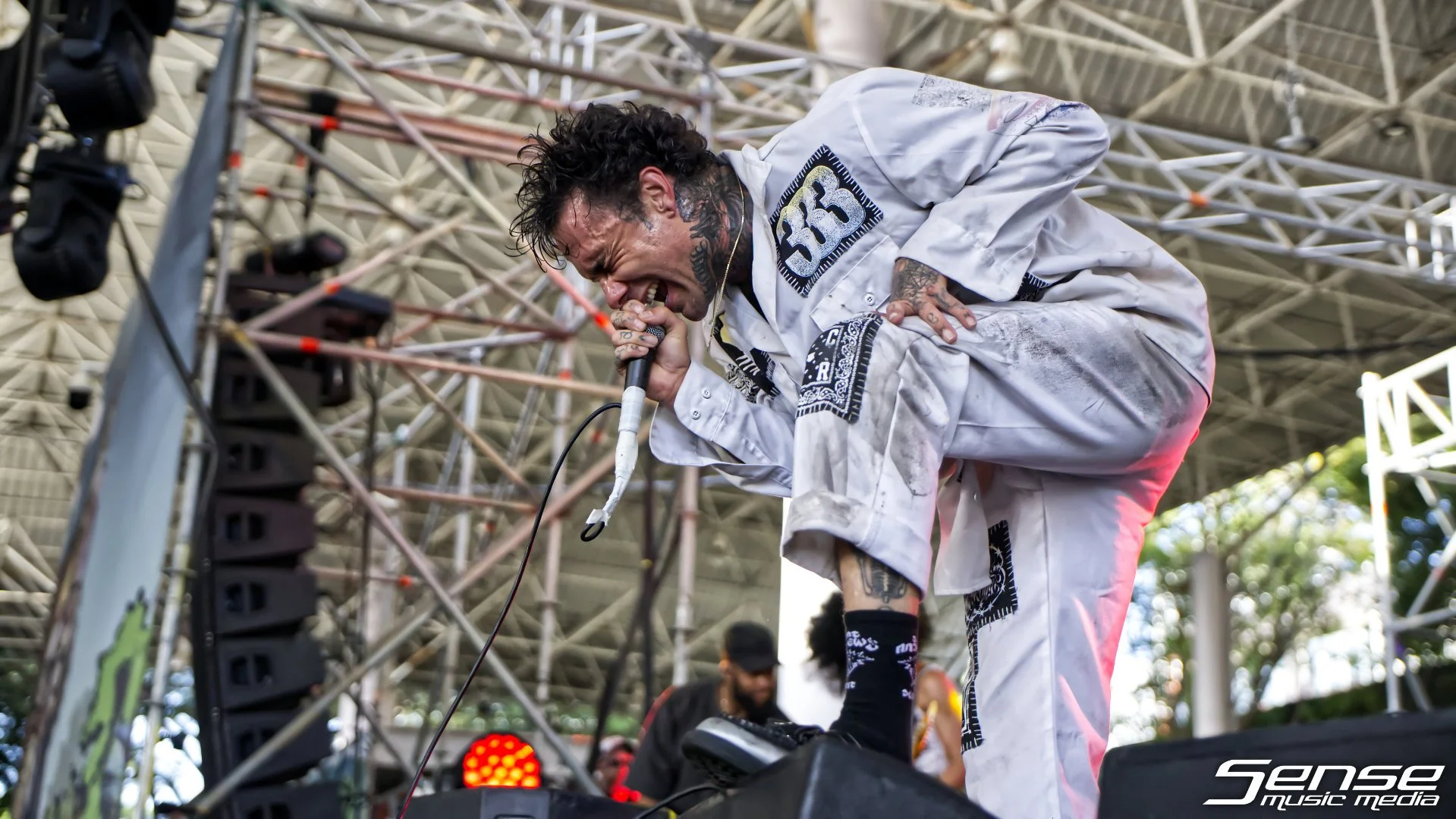 Fever33307.jpg