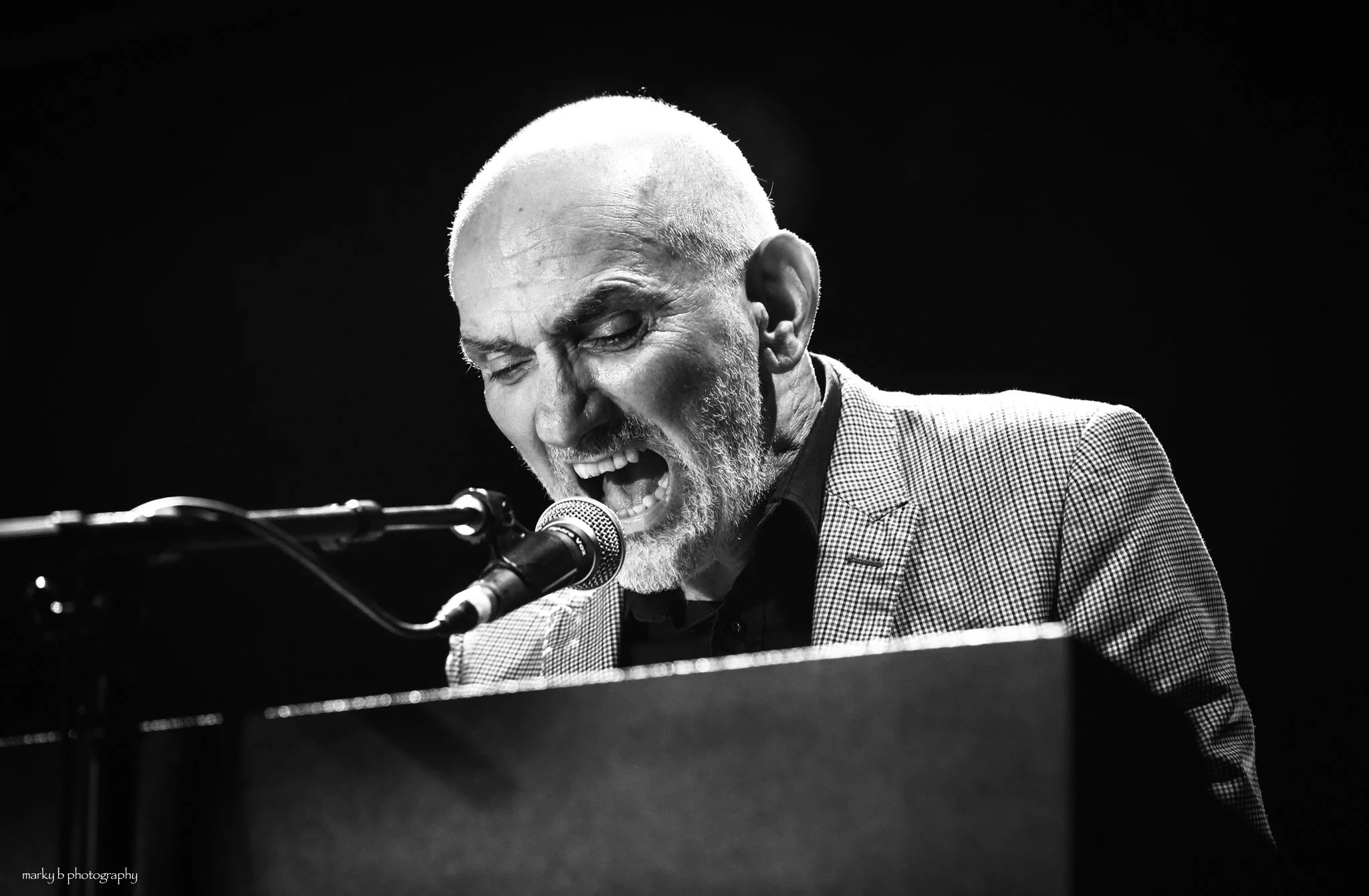 Paul Kelly-2.jpg