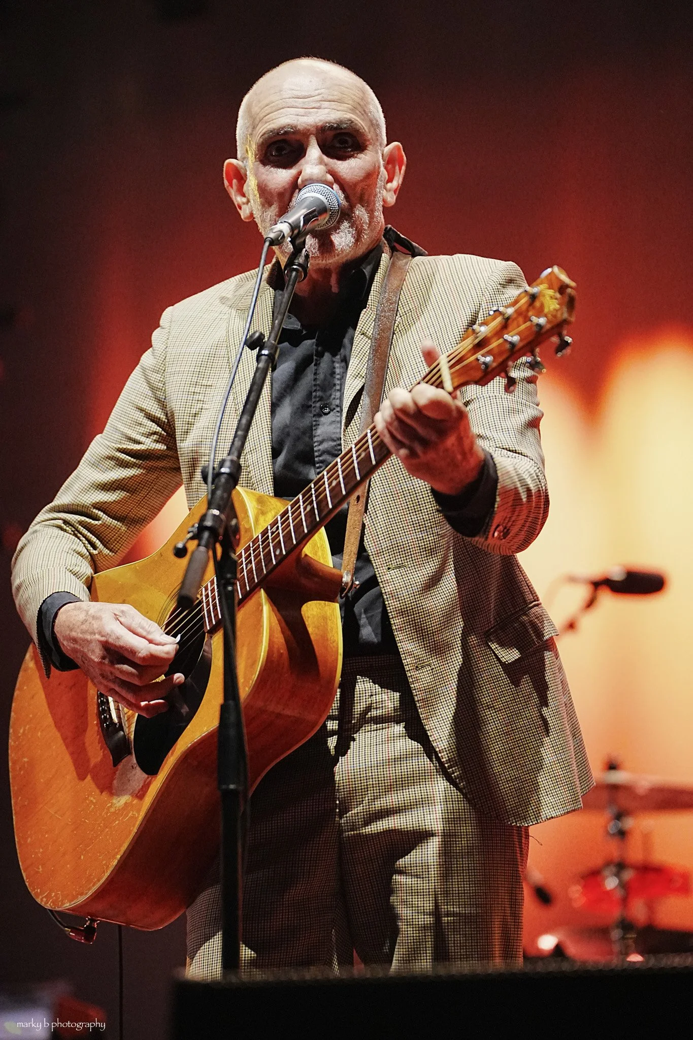 Paul Kelly-6.jpg