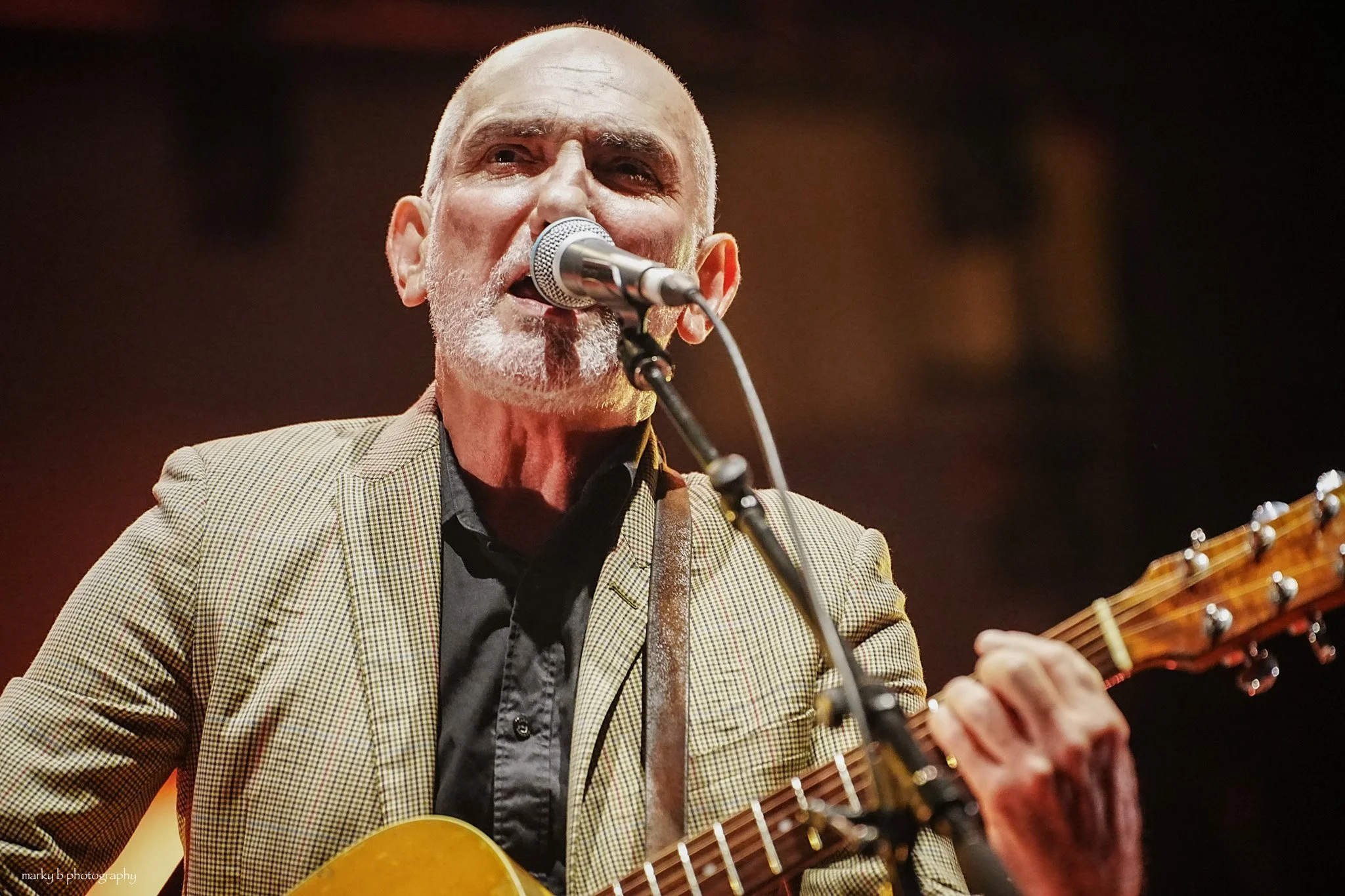 Paul Kelly-7.jpg