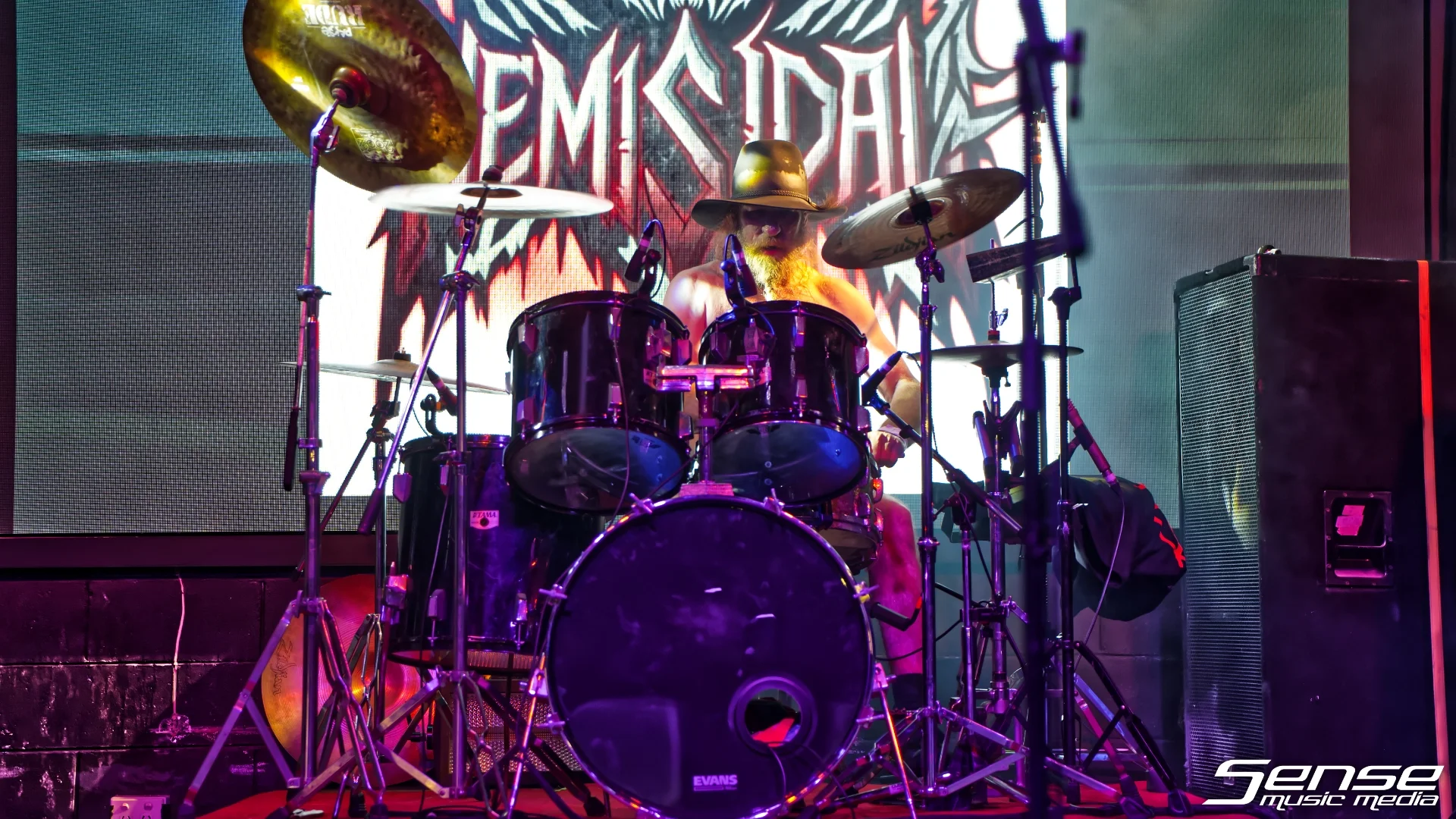 Nemisidal03.webp