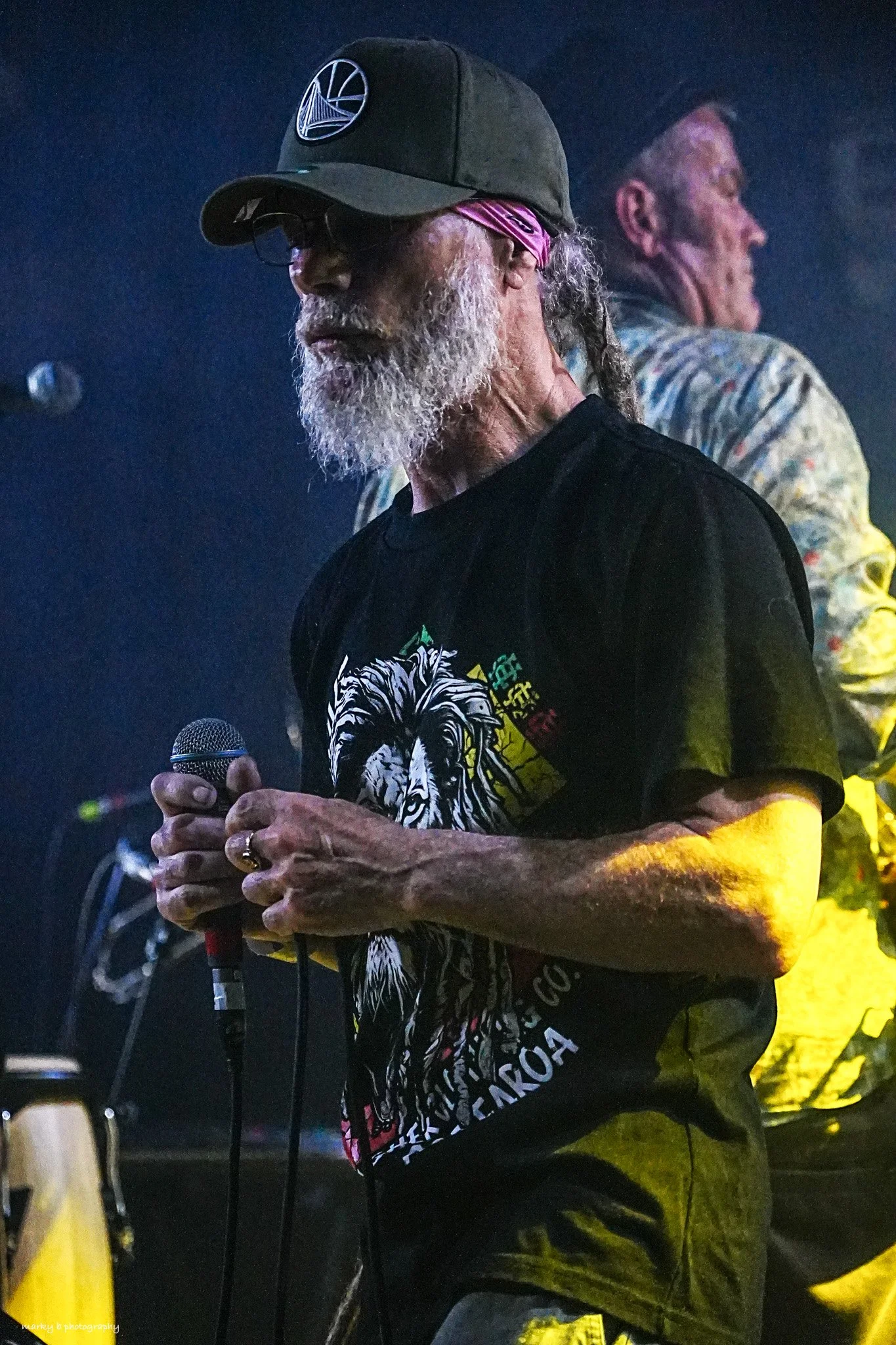 Salmonella Dub-2.jpg