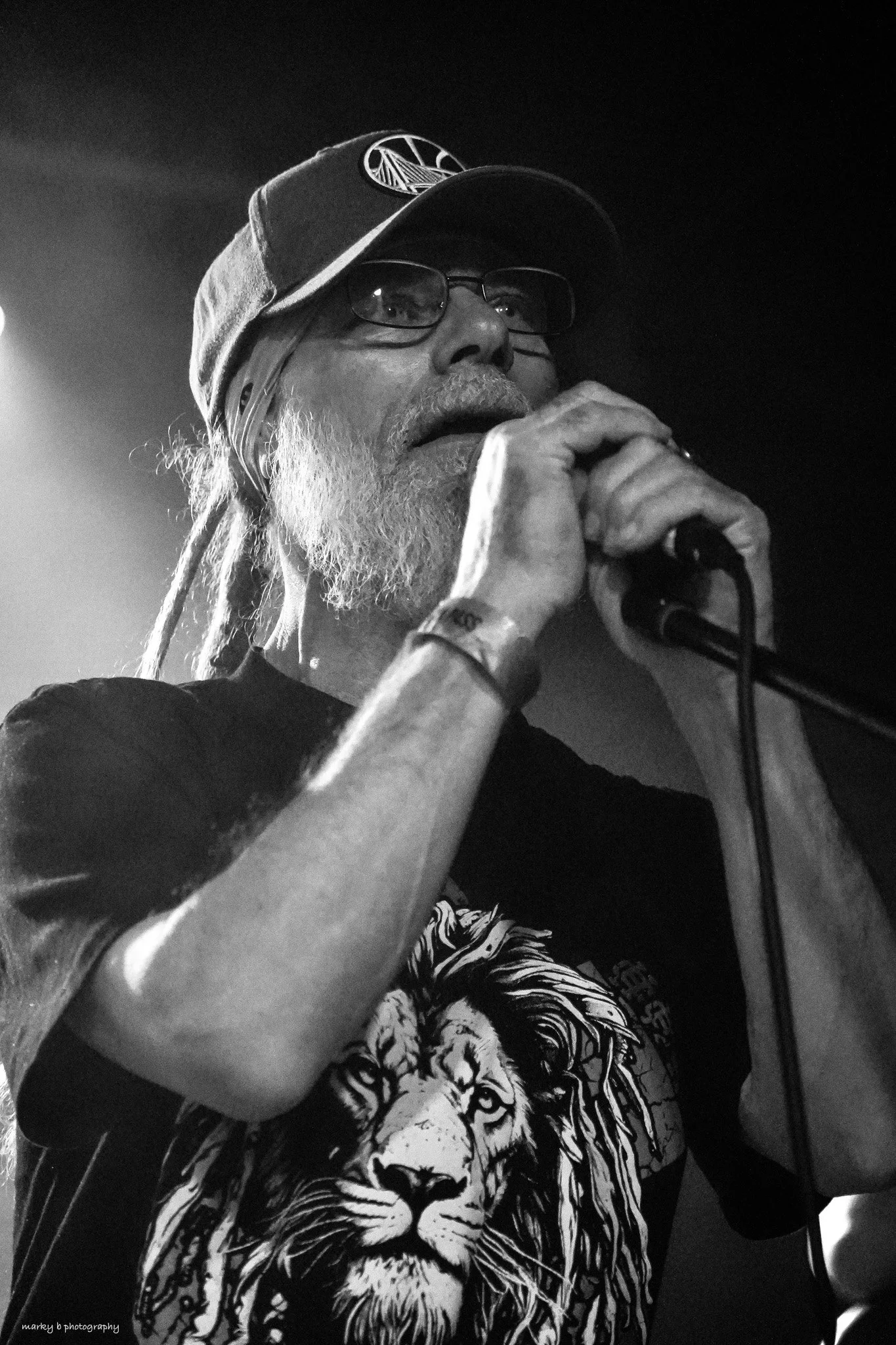 Salmonella Dub-3.jpg