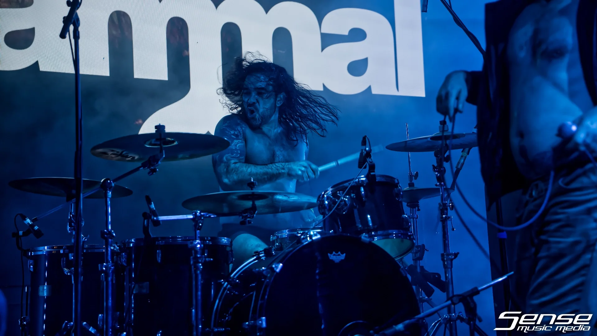 Mammal04.webp