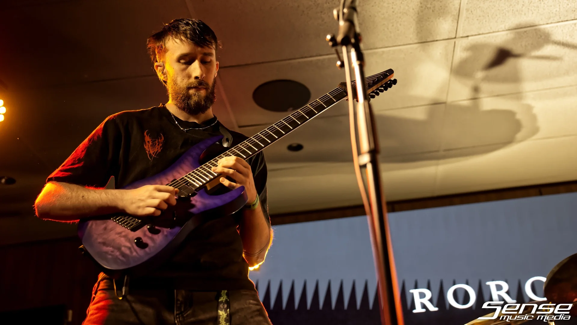 Roronoah03.webp