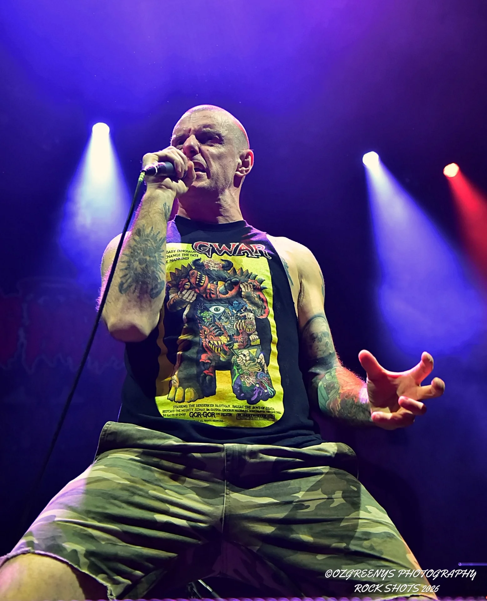 KingParrot02.webp