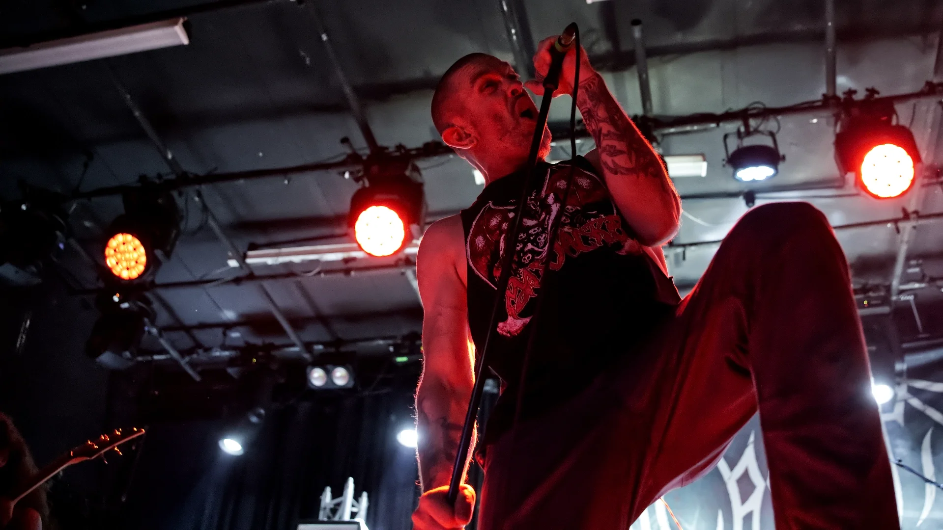 Psycroptic05.webp