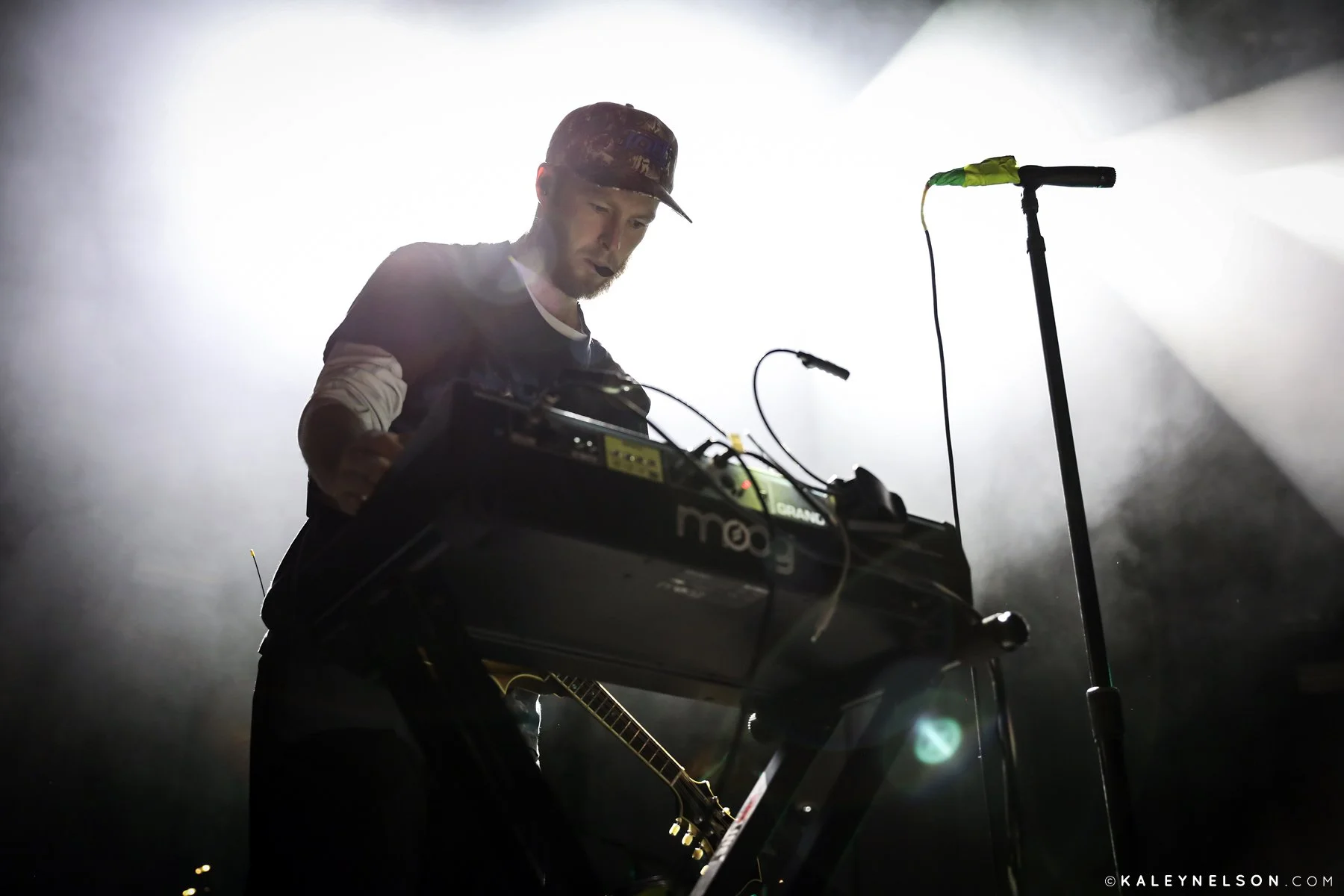 judahlion-10.jpg